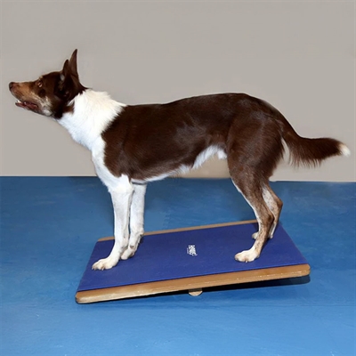 FitPaws Giant Rocker Board Balansbräda